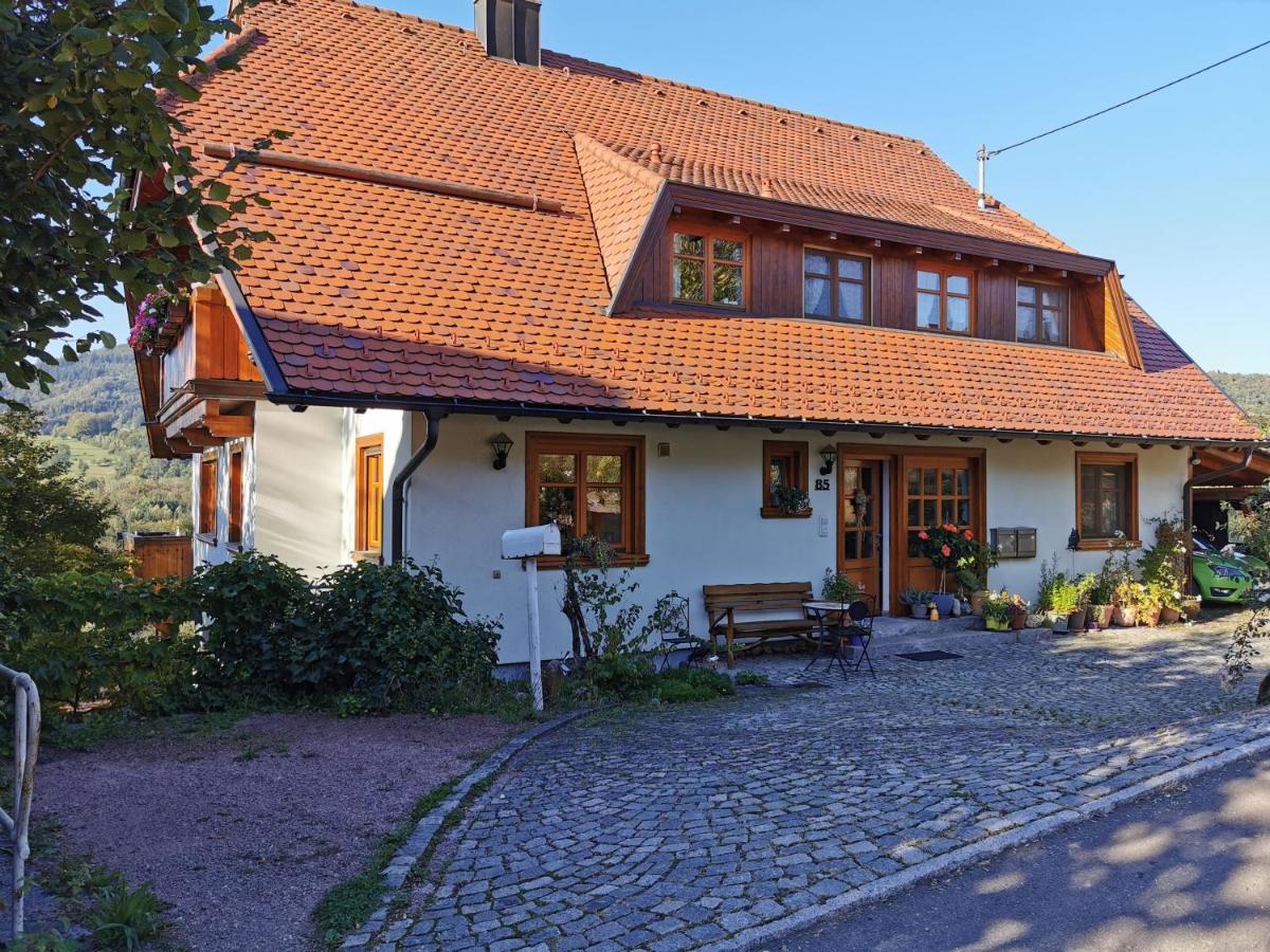 Ferienwohnung Am Fuchsbuehl Schopfheim Kültér fotó